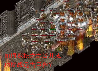 如何探秘龙之谷并成功挑战远古巨兽? 如何探秘龙之谷并成功挑战远古巨兽?