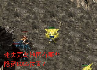 迷失荒岛地图有哪些隐藏BOSS位置? 迷失荒岛地图有哪些隐藏BOSS位置?