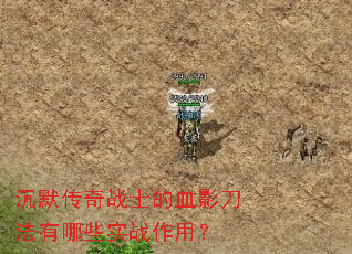 沉默传奇战士的血影刀法有哪些实战作用? 沉默传奇战士的血影刀法有哪些实战作用?