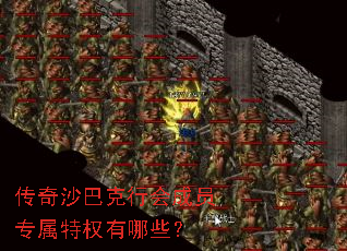 传奇沙巴克行会成员专属特权有哪些? 传奇沙巴克行会成员专属特权有哪些?