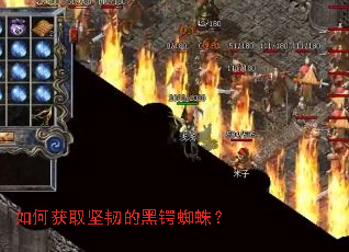 如何获取坚韧的黑锷蜘蛛? 如何获取坚韧的黑锷蜘蛛?