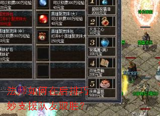 法师如何在后排巧妙支援队友取胜? 法师如何在后排巧妙支援队友取胜?