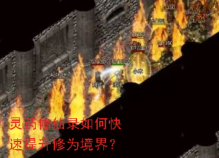 灵药修仙录如何快速提升修为境界? 灵药修仙录如何快速提升修为境界?