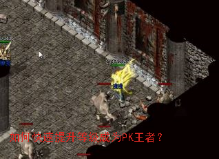 如何快速提升等级成为PK王者? 如何快速提升等级成为PK王者?