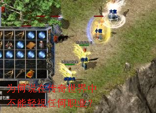 为何说在传奇世界中不能轻视任何职业? 为何说在传奇世界中不能轻视任何职业?