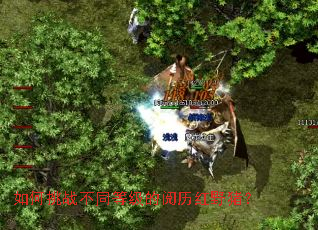 如何挑战不同等级的阅历红野猪? 如何挑战不同等级的阅历红野猪?