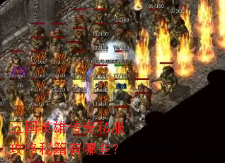 三国英雄传奇私服攻略秘籍有哪些? 三国英雄传奇私服攻略秘籍有哪些?