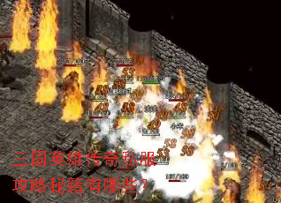 三国英雄传奇私服攻略秘籍有哪些? 三国英雄传奇私服攻略秘籍有哪些?