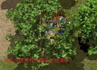 如何快速提升传奇战士的等级? 如何快速提升传奇战士的等级?