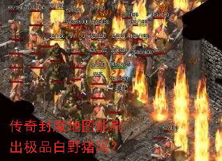 传奇封魔地图能刷出极品白野猪吗? 传奇封魔地图能刷出极品白野猪吗?