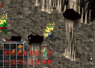 野外打宝攻略?特色活动玩法全解析 野外打宝攻略?特色活动玩法全解析