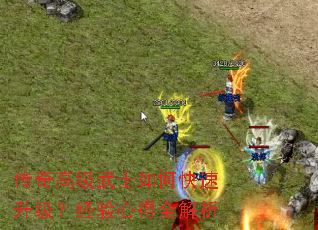 传奇高级武士如何快速升级?经验心得全解析 传奇高级武士如何快速升级?经验心得全解析