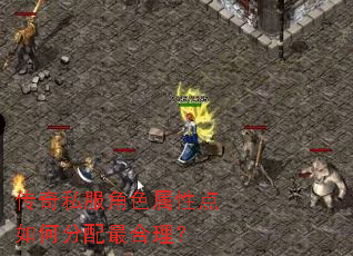 传奇私服角色属性点如何分配最合理? 传奇私服角色属性点如何分配最合理?