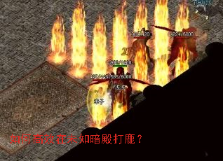 如何高效在未知暗殿打鹿? 如何高效在未知暗殿打鹿?