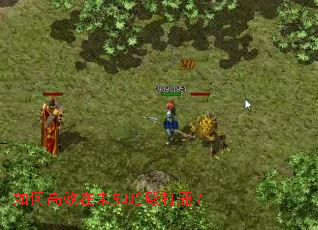 如何高效在未知暗殿打鹿? 如何高效在未知暗殿打鹿?