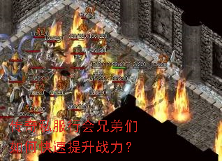 ����˽���л��ֵ�����ο�������ս����