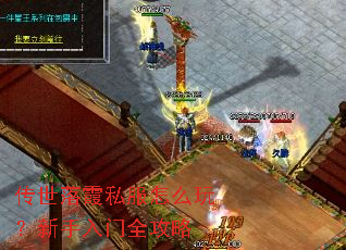 传世落霞私服怎么玩?新手入门全攻略 传世落霞私服怎么玩?新手入门全攻略