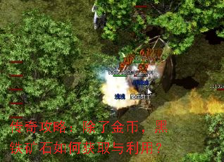 传奇攻略:除了金币,黑铁矿石如何获取与利用? 传奇攻略:除了金币,黑铁矿石如何获取与利用?