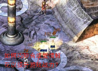 �������ϳɰ����ʻ���������Ϸս����