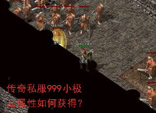 传奇私服999小极品属性如何获得? 传奇私服999小极品属性如何获得?