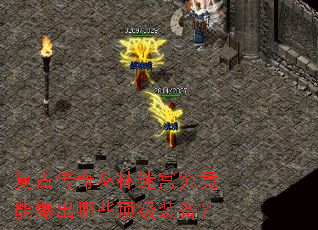 ���Ŵ�������Թ������ܱ�����Щ����װ����