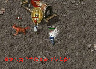 ħ�������������Щ����װ����