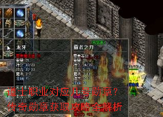 ��ʿְҵ��Ӧ����ѫ�£�����ѫ�»�ȡ����ȫ����