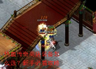 ��Ѫ�����̵�װ����ôѡ�����ֱؿ�����