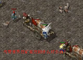 ���������ڿ����ڵ�ʲô�ö�����