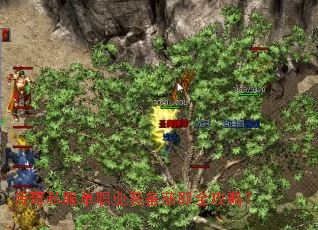 ����˽����ְҵװ����ȡȫ���ԣ�