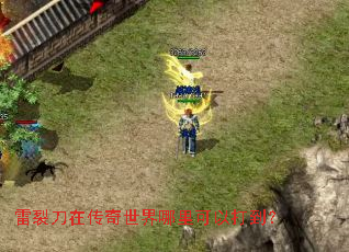 ���ѵ��ڴ�������������Դ򵽣�