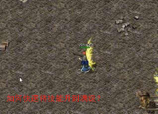 ��ο��ٽ���������������