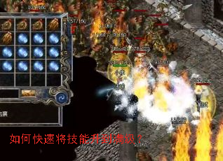 ��ο��ٽ���������������