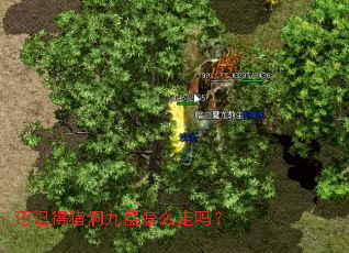 ���ǵ������Ų���ô����