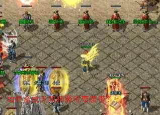 ��κϳ���˫��������������