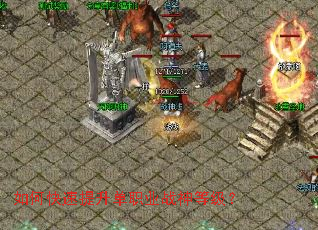 ��ο���������ְҵս��ȼ���