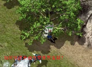 ��ο��ٿ����������籦�䣿