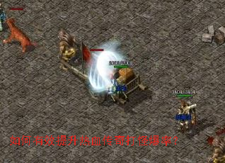 �����Ч������Ѫ�����ֱ��ʣ�