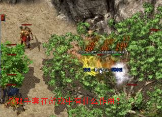 ɱ¾��������Ϸ����ʲô���ã�