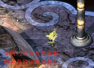 ������������ħ֩�벢��ȡϡ��װ����