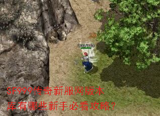 SF999�����·����汾������Щ���ֱؿ����ԣ�