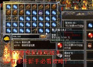 SF999�����·����汾������Щ���ֱؿ����ԣ�