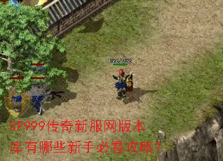 SF999�����·����汾������Щ���ֱؿ����ԣ�