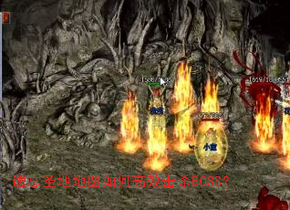 ����ʥ�ص�ͼ��θ�Ч��ɱBOSS��