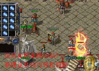 ��ʦ��ε���BOSS��������Щ��������ȡʤ