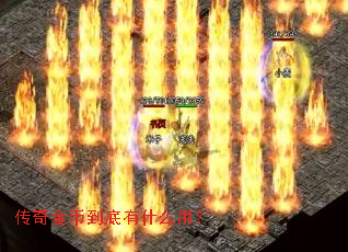 �����ҵ�����ʲô�ã�