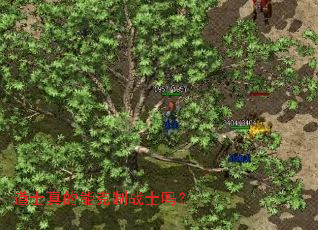 道士真的能克制战士吗? 道士真的能克制战士吗?