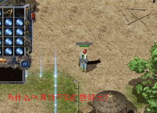 为什么PK真的不如打怪好玩? 为什么PK真的不如打怪好玩?