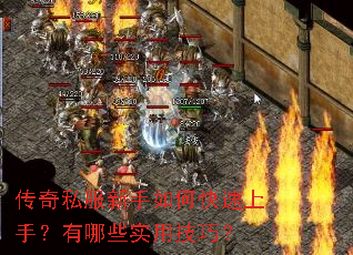 ����˽��������ο������֣�����Щʵ�ü��ɣ�