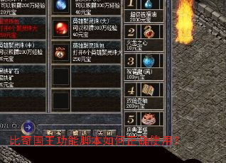 ����������ܽű������ȷʹ�ã�